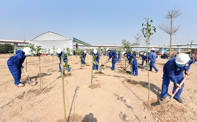 Hanoi vise plus de 300 000 arbres plantés en 2021